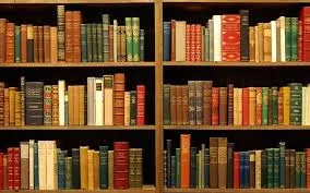 Shelves filled with books