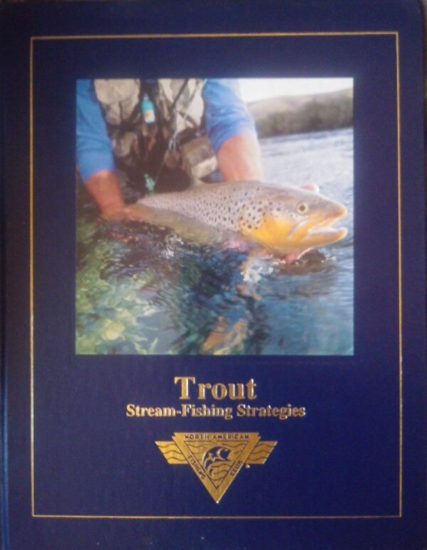 trout stream fishing strategies