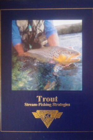 trout stream fishing strategies