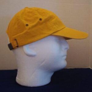 AC 20 0087 1 e1713312006169