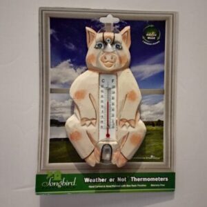 Outside small window Thermometer Sitting pig