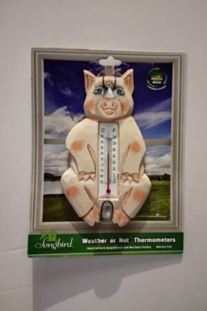 Outside small window Thermometer Sitting pig
