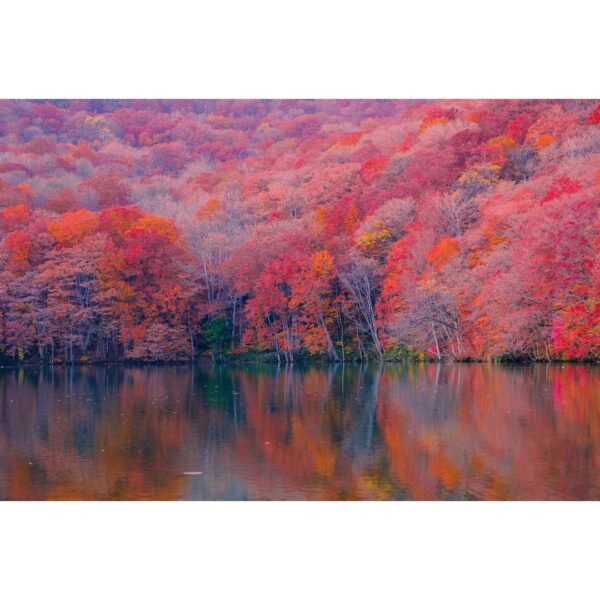 colorful fall foliage image on a lake