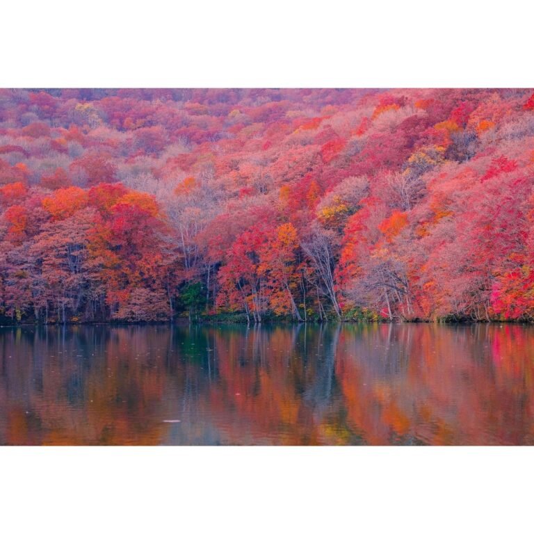colorful fall foliage image on a lake